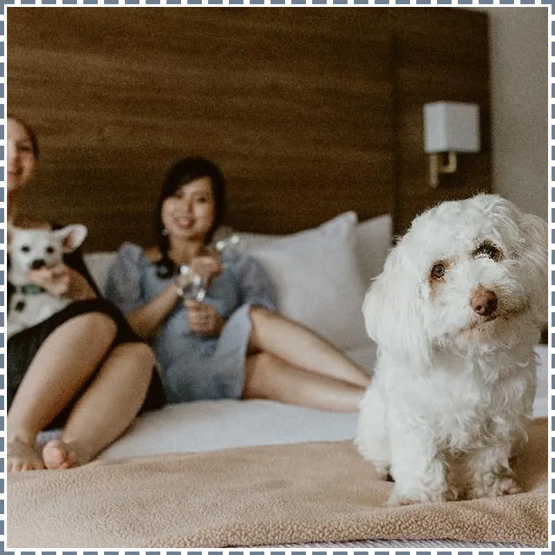 Atrium Hotel Vancouver 호텔 시설 이미지