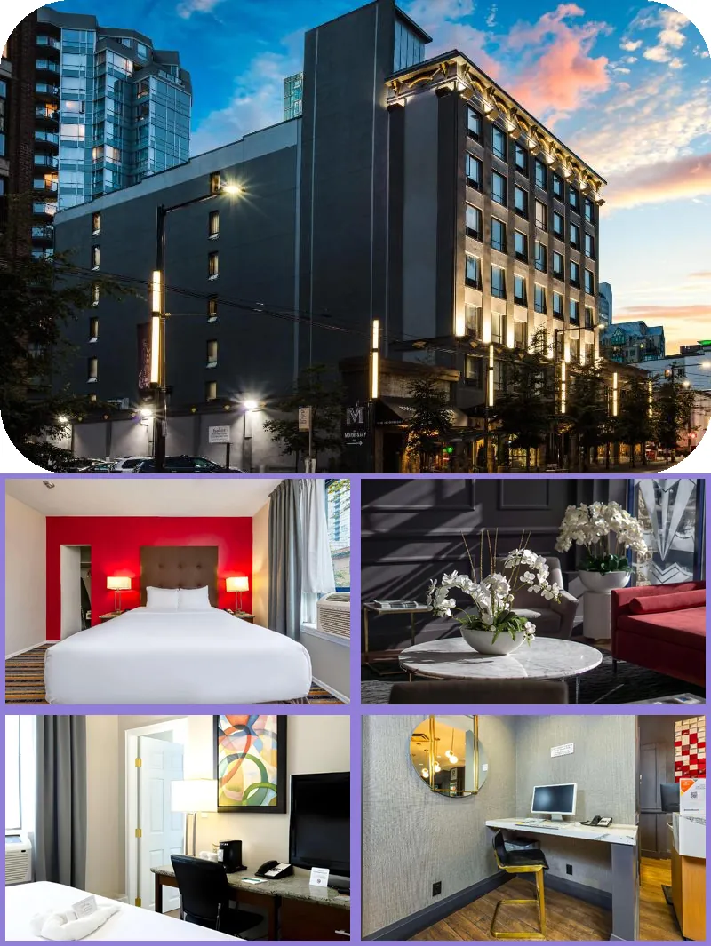 Quality Inn & Suites 호텔 기타 이미지