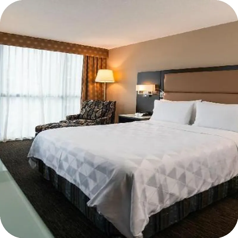 Holiday Inn & Suites Vancouver Downtown By IHG 호텔 내부 이미지