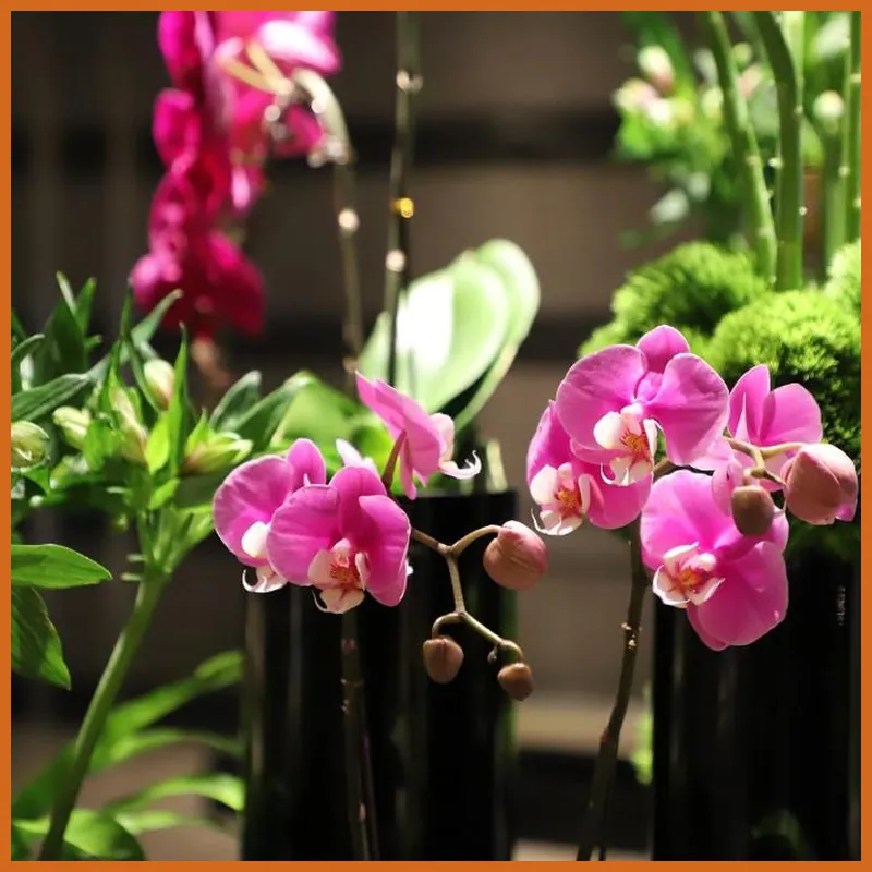 Renaissance Beijing Capital Hotel 호텔 시설 이미지