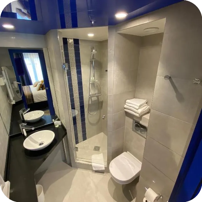 Hotel Du Vieux Saule 호텔 시설 이미지