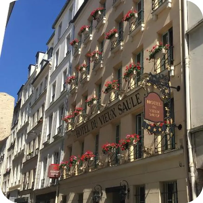 Hotel Du Vieux Saule 호텔 이미지