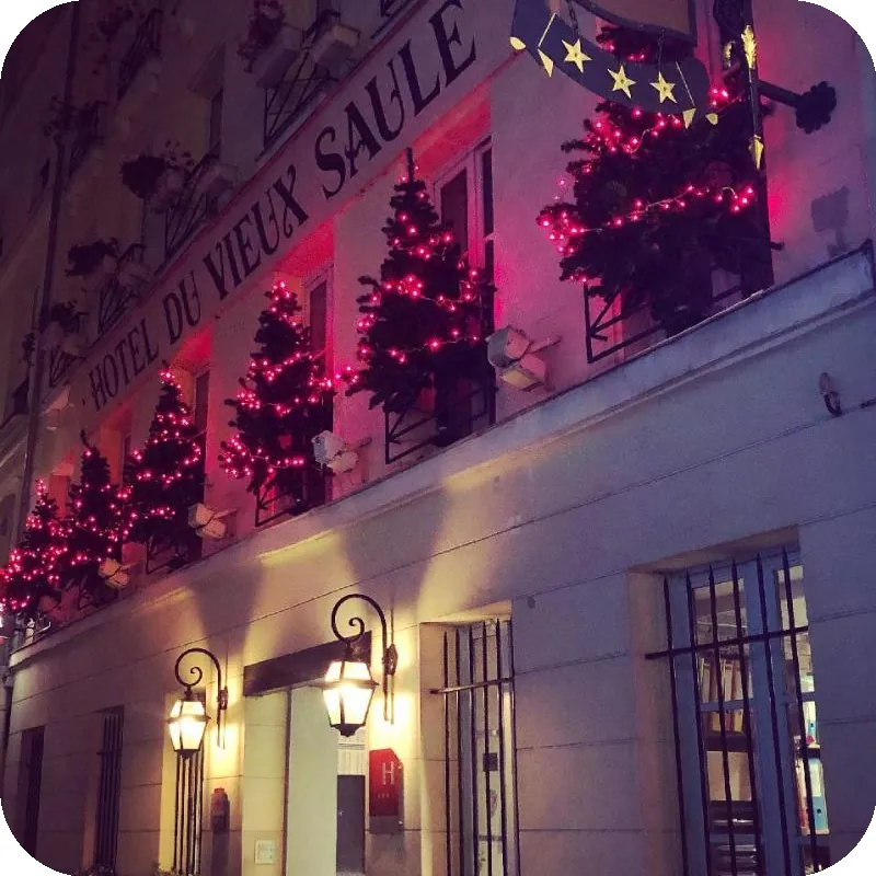 Hotel Du Vieux Saule 호텔 이미지