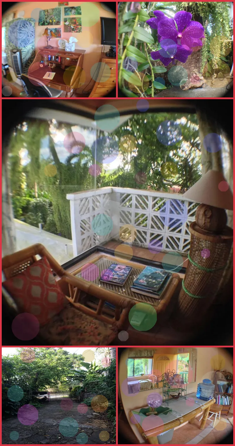 Jungle Bed & Breakfast 호텔 기타 이미지