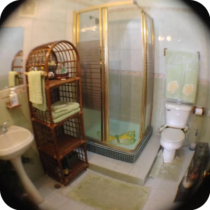 Jungle Bed & Breakfast 호텔 시설 이미지