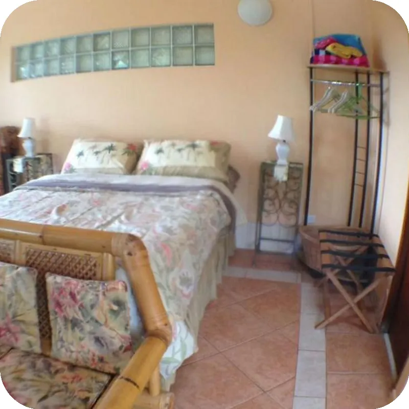 Jungle Bed & Breakfast 호텔 내부 이미지