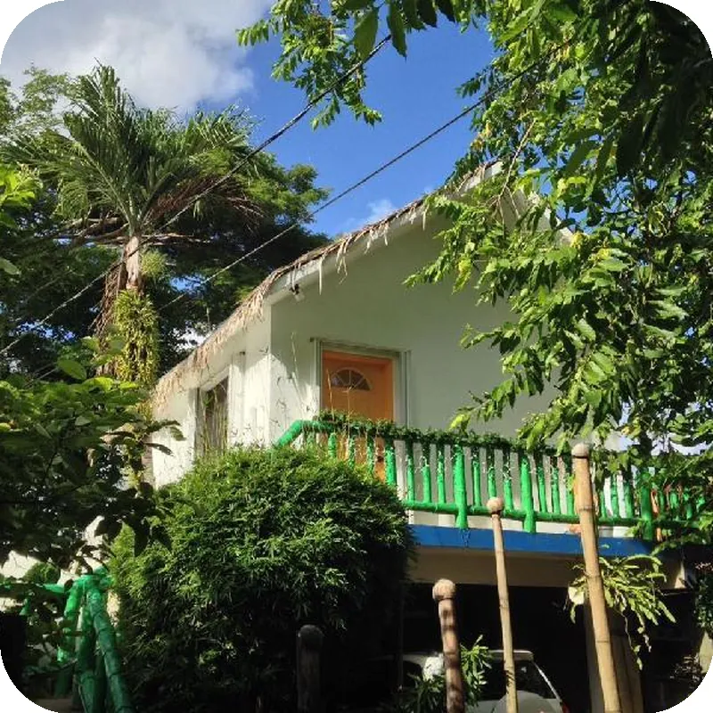 Jungle Bed & Breakfast 호텔 내부 이미지