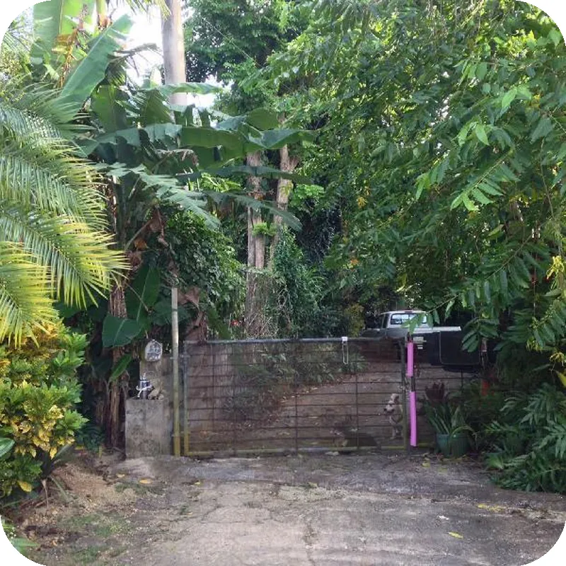 Jungle Bed & Breakfast 호텔 이미지