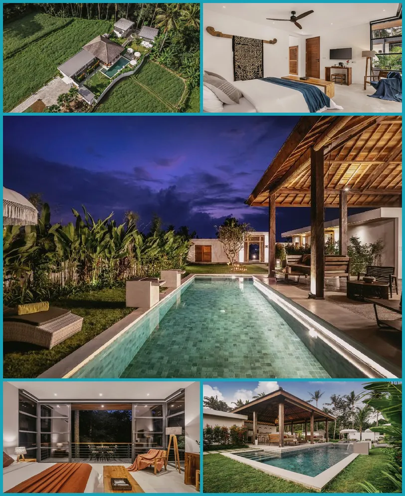 Umah Shama 호텔 기타 이미지