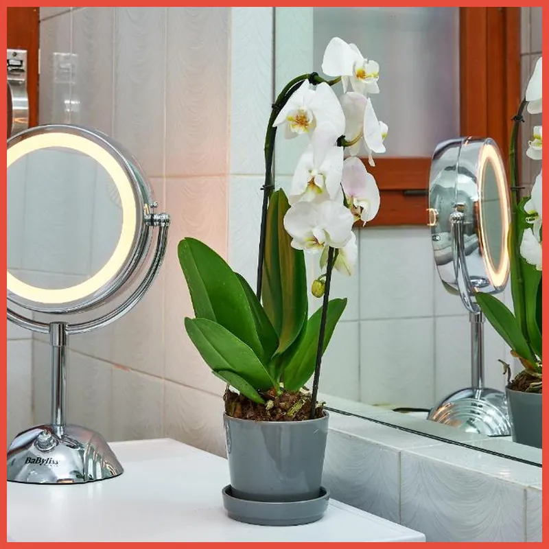 Anastasio II apartment 호텔 시설 이미지