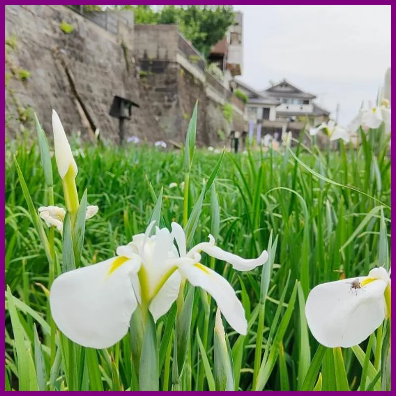 Time travel Stay in very unique house MORITAYA 호텔 시설 이미지