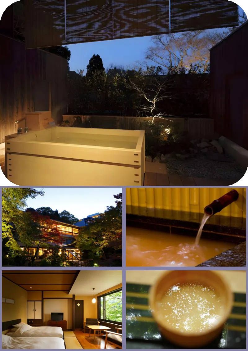 Negiya Traditional Japanese Spa Ryokan 호텔 기타 이미지