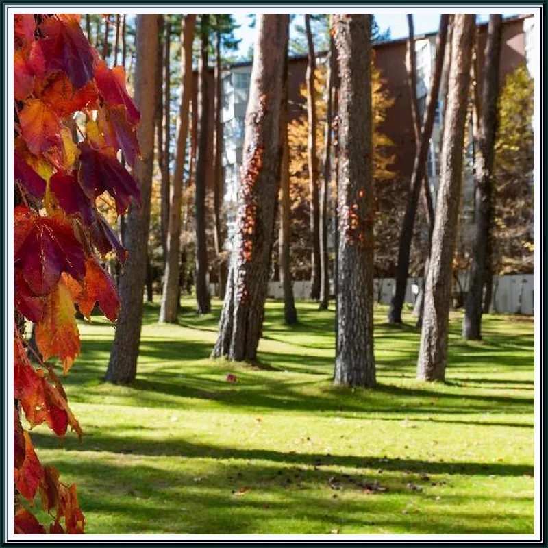 Fuji Premium Resort 호텔 시설 이미지