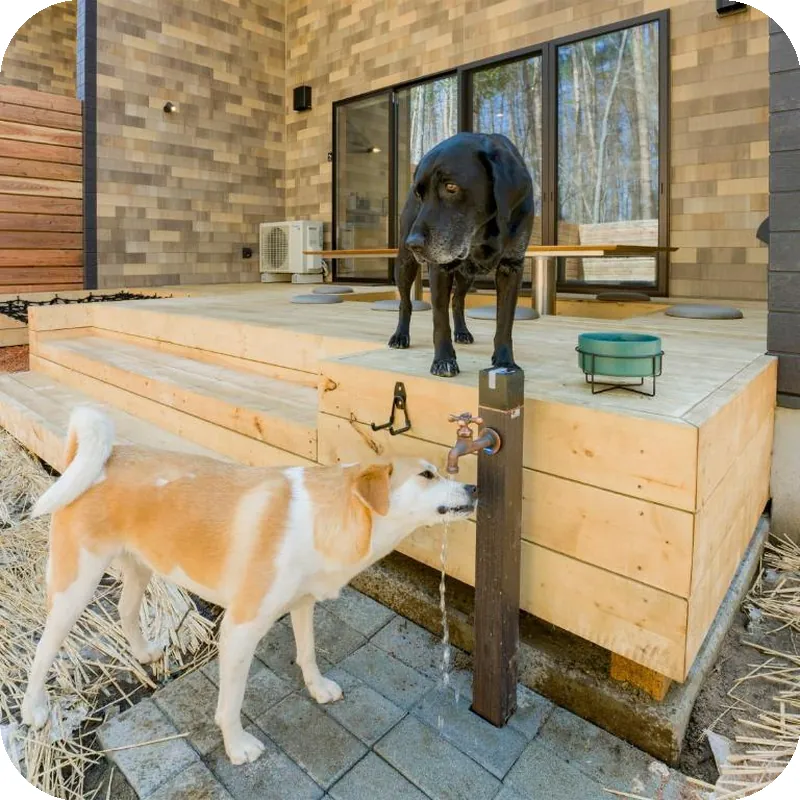 Rakuten STAY VILLA Lake Kawaguchiko Forest 호텔 이미지