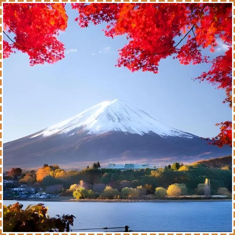 Fuji View Hotel 호텔 이미지