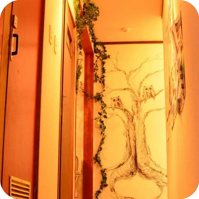 Hostel Yume Nomad 호텔 이미지