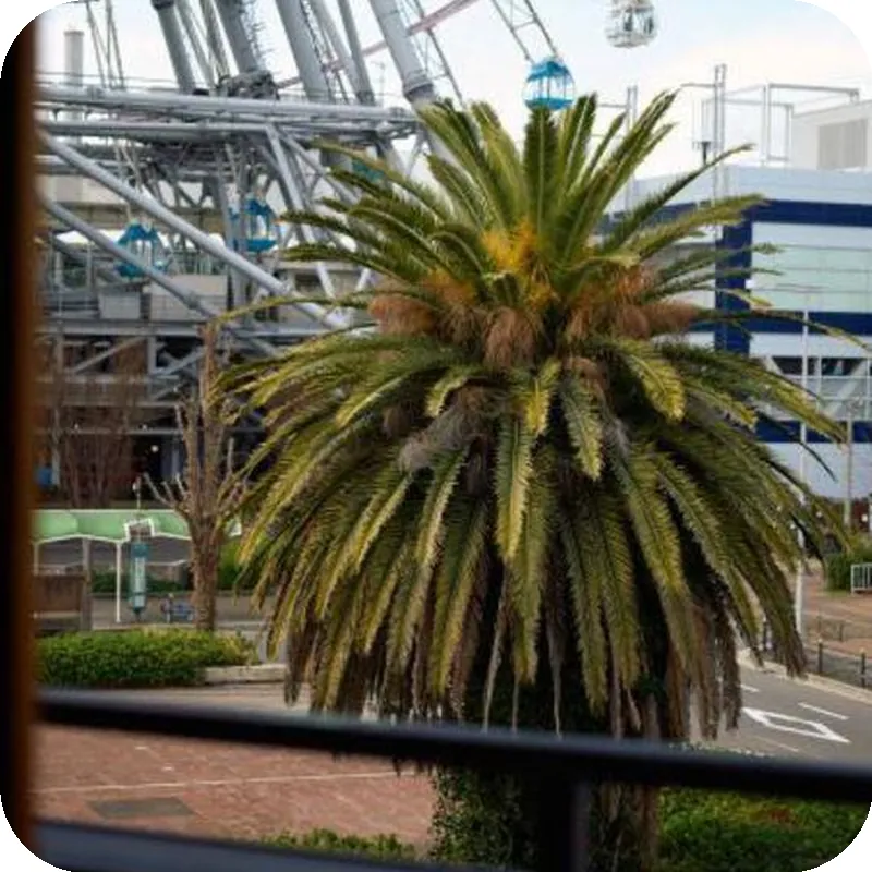 KONJAKUSO Osaka Tempozan "TAKADORO" Wheel View 호텔 이미지