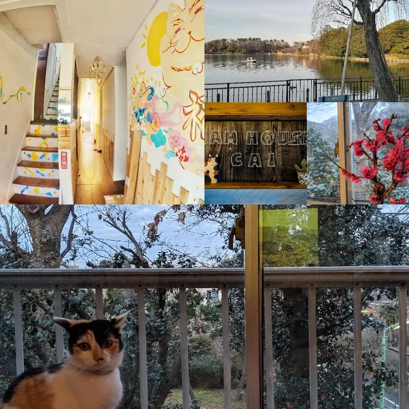 20mins to Shibuya, Urban Nature LIFE in TOKYO 호텔 기타 이미지