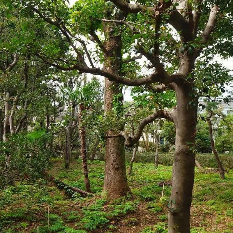 20mins to Shibuya, Urban Nature LIFE in TOKYO 호텔 시설 이미지