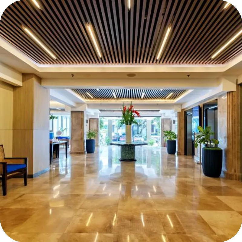 Cebu Grand Hotel Vibo Place Capitol 호텔 이미지