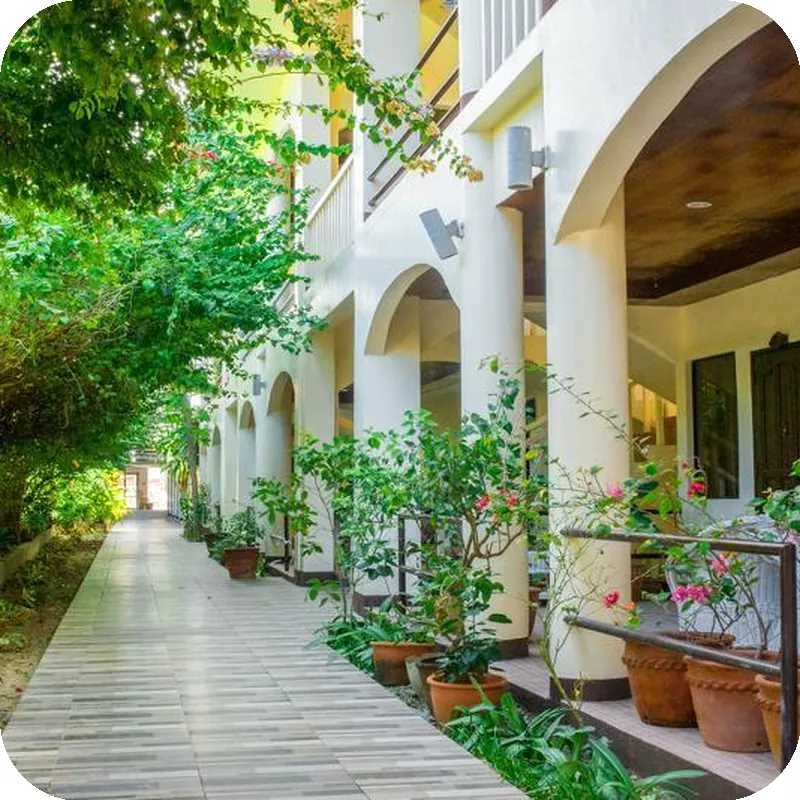 Lukay Las Brisas 호텔 시설 이미지