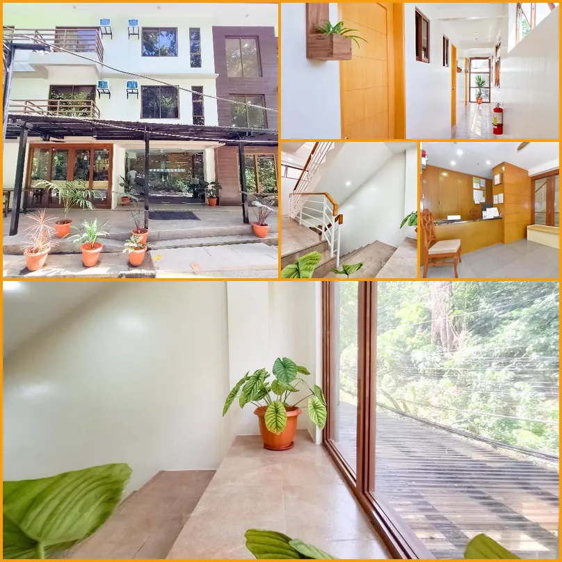 Areca Boracay Bed and Breakfast 호텔 기타 이미지