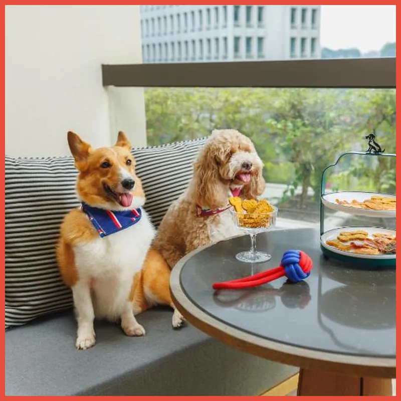 Conrad Singapore Orchard 호텔 시설 이미지