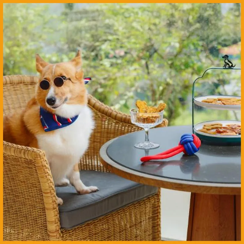 Conrad Singapore Orchard 호텔 시설 이미지