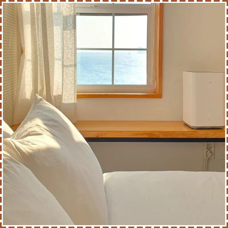 jejuneulbo's afternoon 호텔 내부 이미지