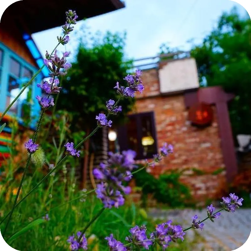 Jeonju Hanok Village Hongsi Guesthouse 호텔 시설 이미지