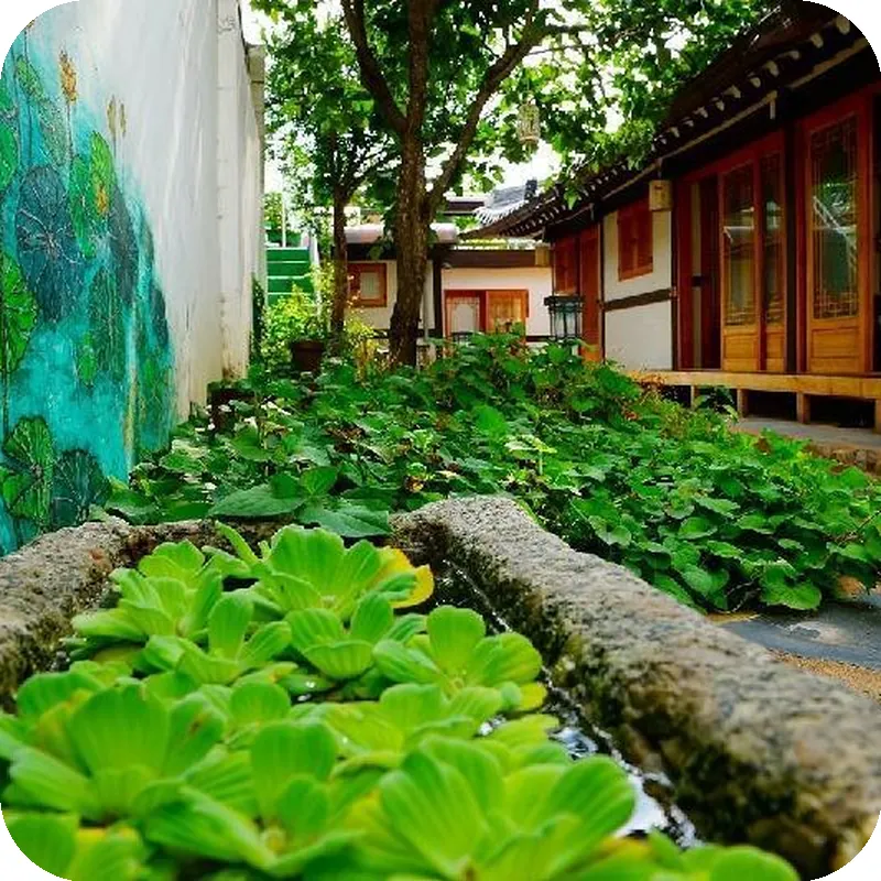 Jeonju Hanok Village Hongsi Guesthouse 호텔 시설 이미지