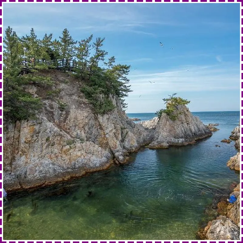 Samcheok Yonghwa Silkroad Pension 호텔 시설 이미지