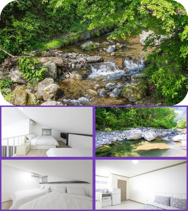 Gapyeong Cheotnooneh Pension 호텔 기타 이미지