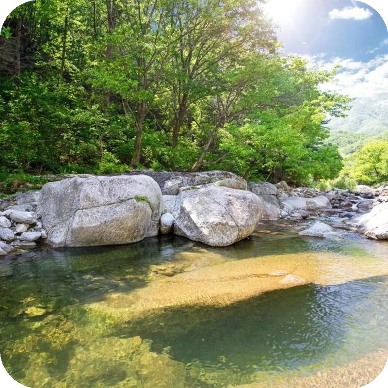 Gapyeong Cheotnooneh Pension 호텔 이미지