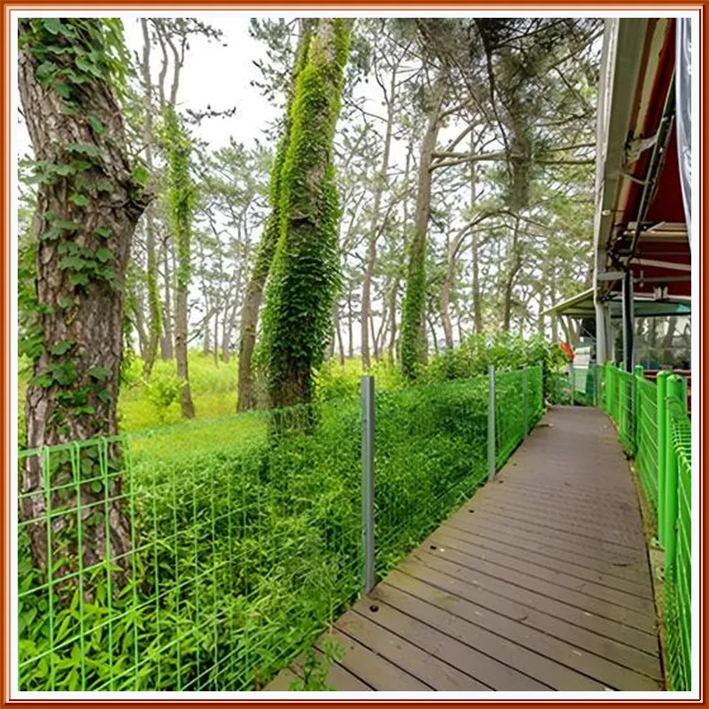 Gampo Eunsol Family Pension 호텔 시설 이미지