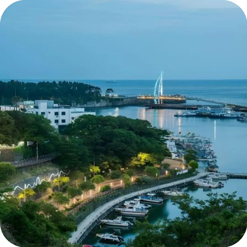 Hotel Fine Jeju 호텔 이미지