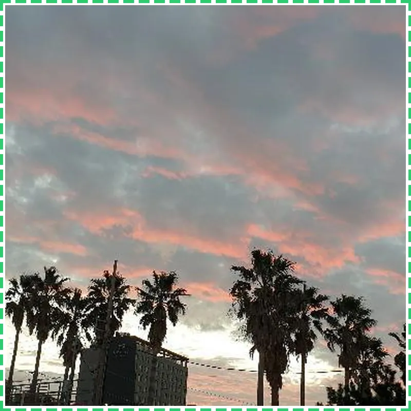 JEJU OLLERO 호텔 이미지