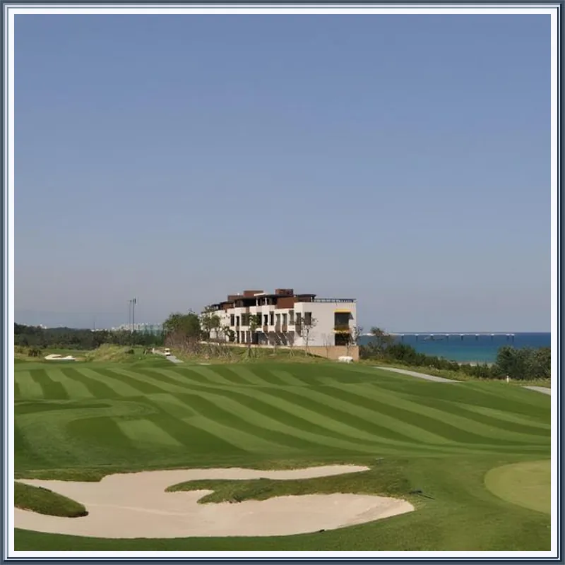 Maple Beach Resort 호텔 시설 이미지