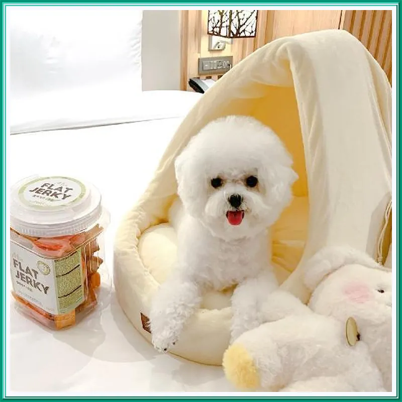 Courtyard by Marriott Seoul Botanic Park 호텔 시설 이미지