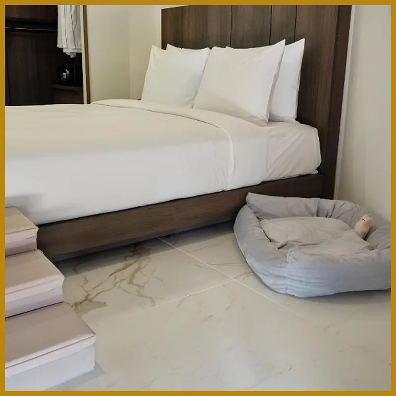 HOTEL THE BOTANIK SEWOON MYEONGDONG 호텔 내부 이미지