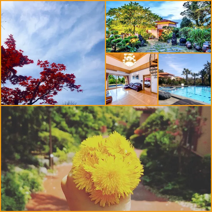 Palm Valley Pool Villa Resort 호텔 기타 이미지