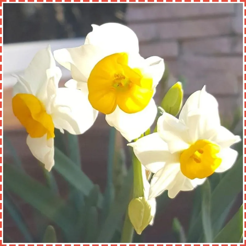 Palm Valley Pool Villa Resort 호텔 시설 이미지