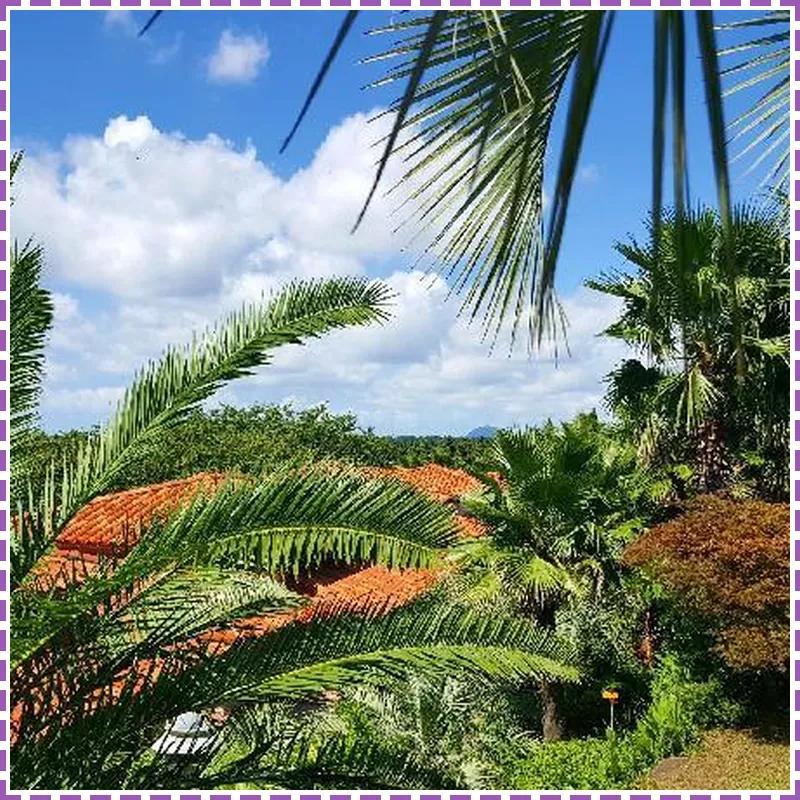 Palm Valley Pool Villa Resort 호텔 시설 이미지