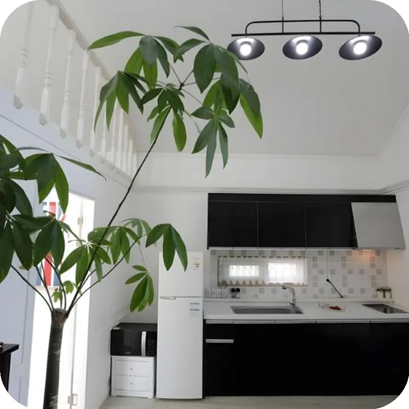 Healing View Pension 호텔 시설 이미지