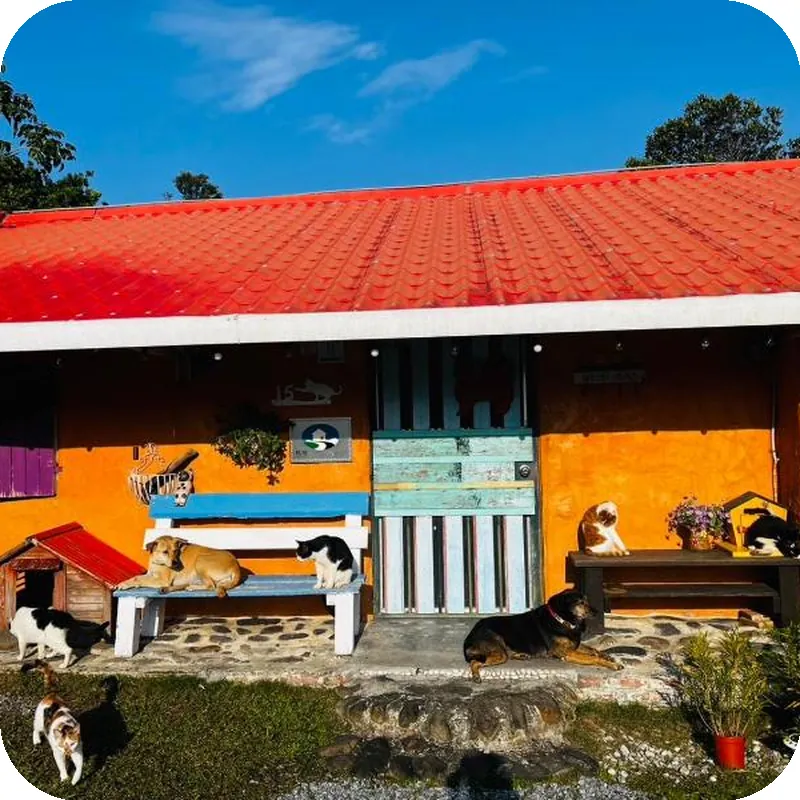 貓天空寵物友善民宿 호텔 이미지