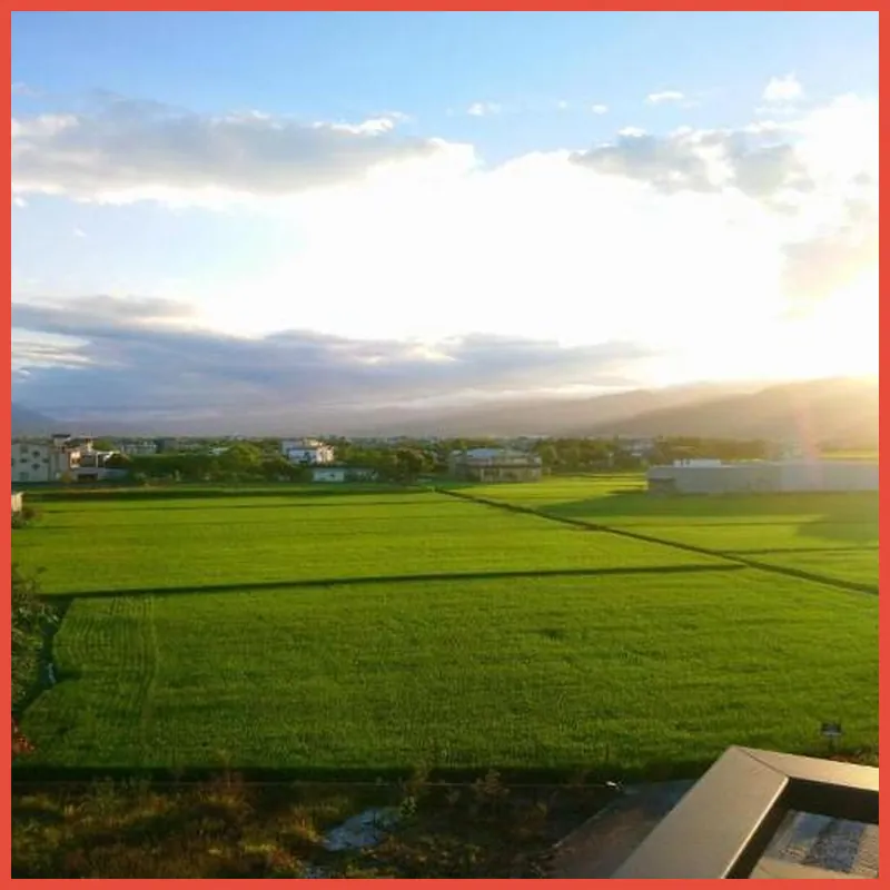 My Friends' Hostel 호텔 이미지