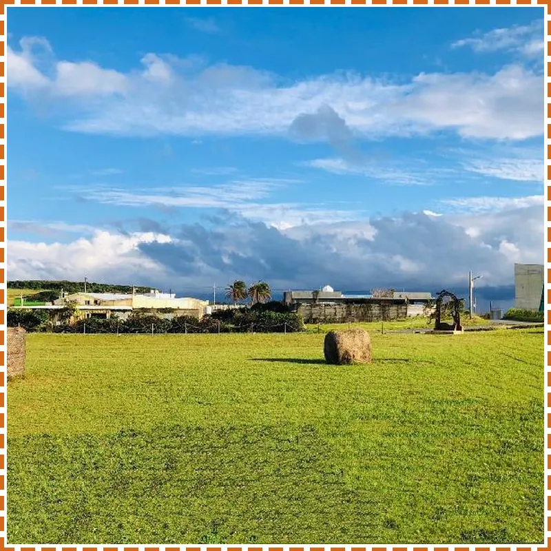 Pangola B&B 호텔 시설 이미지