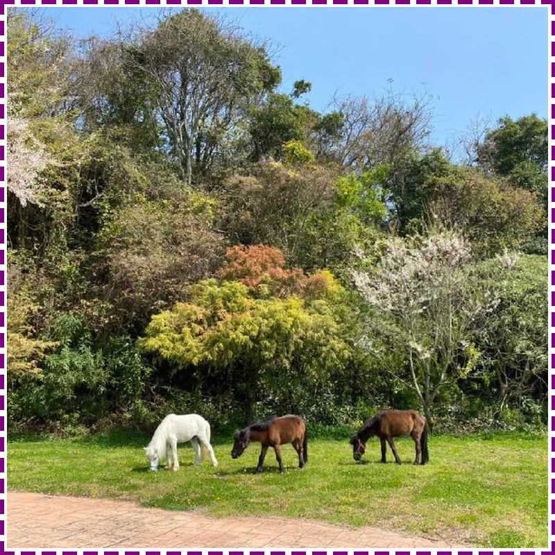 EOS Resort 호텔 시설 이미지