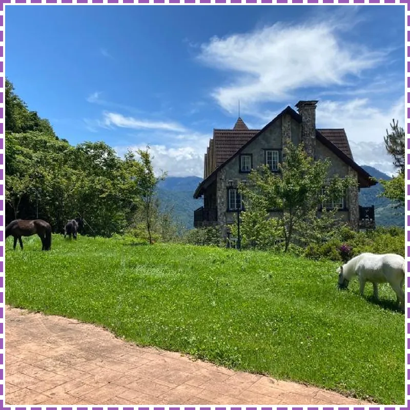 EOS Resort 호텔 시설 이미지