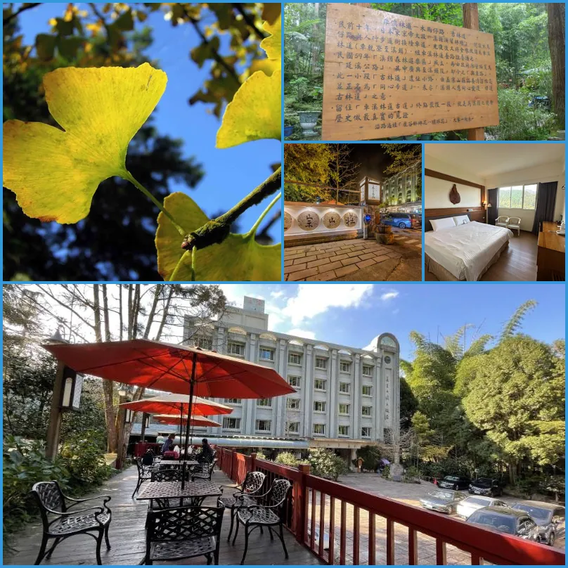 Ginkgo Hotel 호텔 기타 이미지